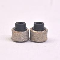 Gambar HOLYTACHI Nail Grinder Stone Refill dari Pet Republic Indonesia Kota Administrasi Jakarta Utara 1 Tokopedia