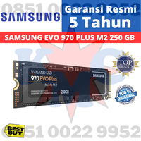 Gambar Samsung SSD 970 EVO PLUS M.2 Pcie Nvme 250GB Samsung 970 250 GB Resmi dari Karya Megah Computer_NEW Kota Administrasi Jakarta Pusat 1 Tokopedia