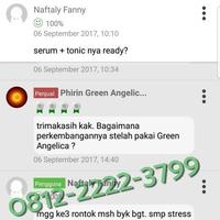 Gambar Hair Tonik & Shampo Green Angelica Penumbuh Rambut Orang Indonesia dari Phirin Green Angelica Jakarta Selatan 3 Tokopedia