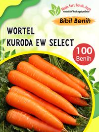 Gambar 100 biji benih WORTEL UNGGULAN - bibit sayuran wortel kuroda unggulan benih tanaman - Wortel dari Nada fast benih jaya Kab. Banyumas 2 Tokopedia