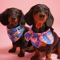 Gambar Furry Friends Dog Collar - S, Bandana Collar dari Liunic on Things Kota Administrasi Jakarta Barat 1 Tokopedia