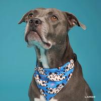 Gambar Furry Friends Dog Collar - S, Bandana Collar dari Liunic on Things Kota Administrasi Jakarta Barat 3 Tokopedia