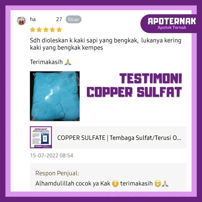 Terusi Copper sulfate 2 kg Pembiru Anti Lumut Kolam Renang Obat PMK 2
