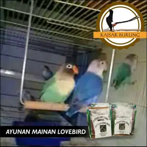 Ayunan Tangkringan Mainan Burung Lovebird Kayu Jati