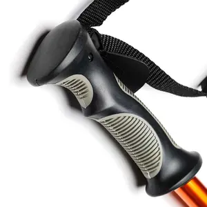 Tongkat Hiking Gunung Eiger G970 Trekking Pole 2 Section