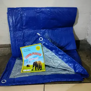 Terpal Plastik A3 ukuran 6x8 meter