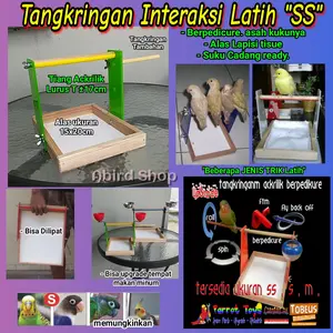 Tangkringan Parrot Latih Pedicure Tiang Akrilik bisa Lipat