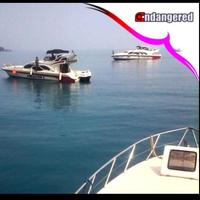 Gambar Rental Charter Private Kapal Speedboat Marina Ancol - Pulau Seribu - Michael, Ayer / Bidadari dari Endangered Store Kota Administrasi Jakarta Utara 3 Tokopedia