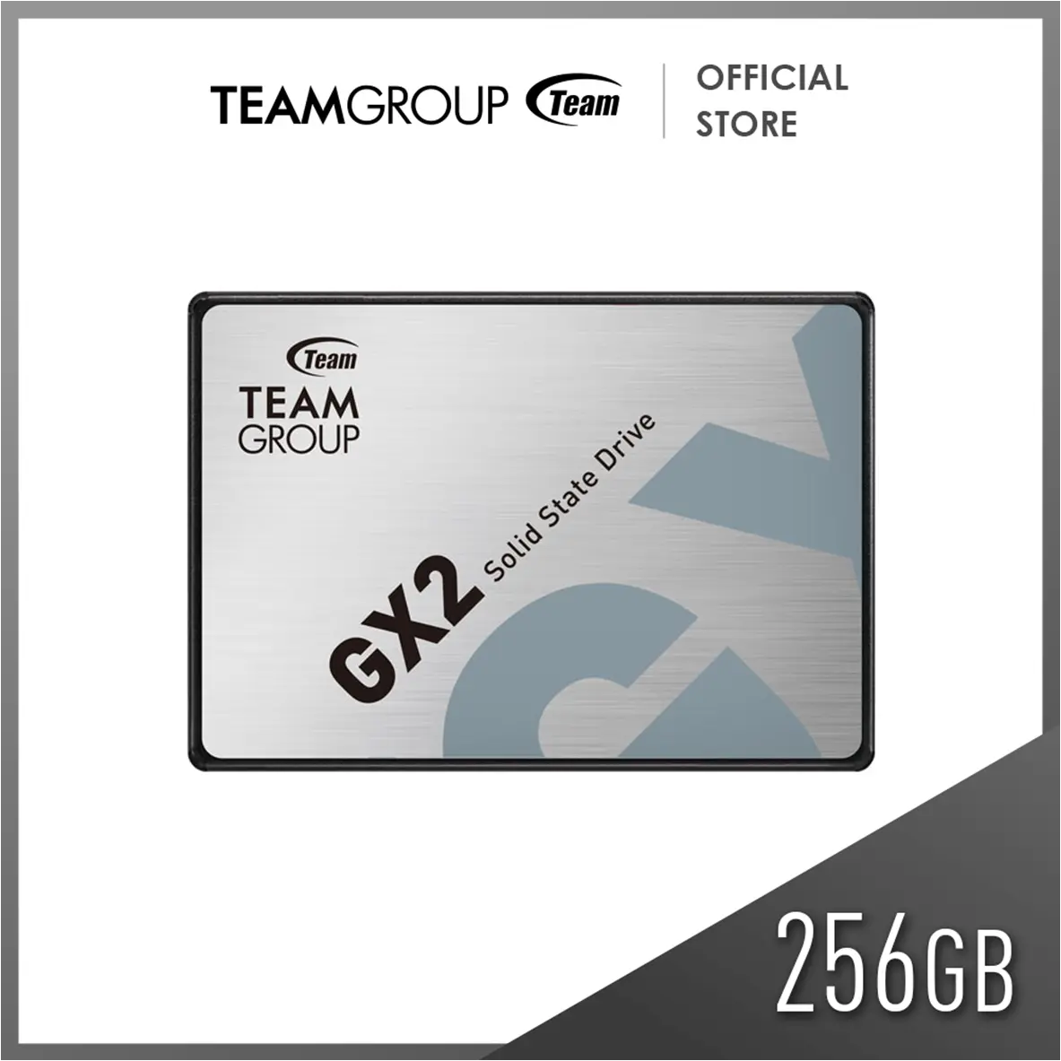 TEAMGROUP SSD 2.5" GX2 256GB SATA III - Grey