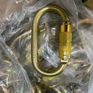 NTR Autolock Carabiner Steel screw