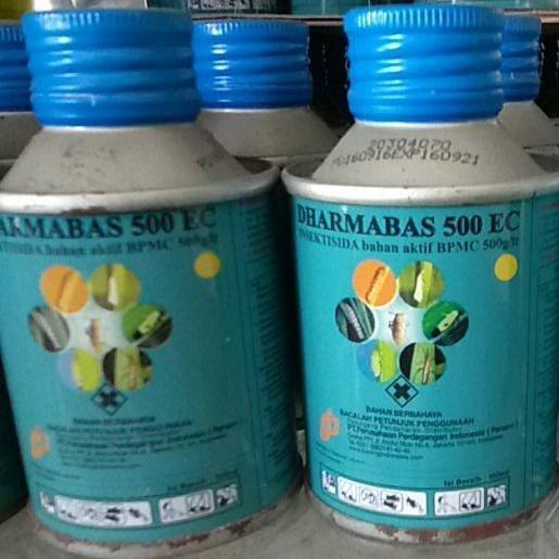 Gambar INSEKTISIDA DARMABAS 100 ML OBAT ULAT WALANG SANGIT DAN WERENG dari Grow Farm Kab. Garut Tokopedia