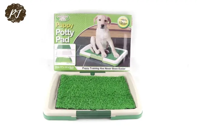Alas Rumput Latihan Kencing Anak Anjing Kucing / Puppy Cat Potty Train