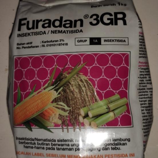 Gambar furadan 3G dari rumah benih salaman Kab. Magelang Tokopedia