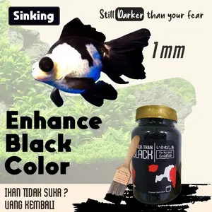 Pakan Pelet Makanan Ikan Mas Koki Koi Darker Than Black Medium Size