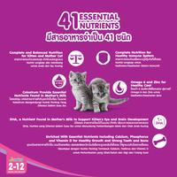 Gambar WHISKAS Makanan Kucing Kering Junior 1.1kg - Isi 2 - Ocean Fish dari Whiskas Indonesia Kota Tangerang 5 Tokopedia