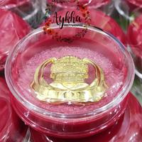 Gambar Lencana Pin KORPRI Peniti Magnet + Box Cepuk Kristal Premium Original dari Aykha Magnet Jakarta Kota Administrasi Jakarta Timur 3 Tokopedia