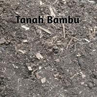 Gambar Media Tanam Subur Tanah Akar Bambu - KILOAN dari Toko Zulfiqri Kota Depok 2 Tokopedia