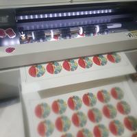 Gambar cuting stiker dari Kreatif Custom Jakarta Selatan 2 Tokopedia