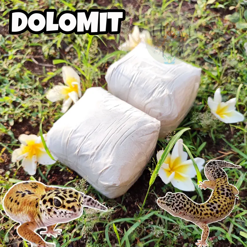 Dolomit gecko alas bedding kandang tokek rumah gecko geko kadal reptil 2