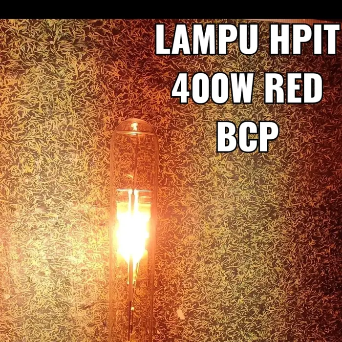 Gambar LAMPU HPIT 400w BCP / 4 WARNA CAHAYA dari Maju jaya jakarta2 Kota Administrasi Jakarta Barat 5 Tokopedia
