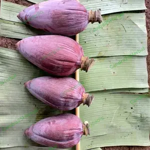 Jantung pisang kepok asli - Sayur organik dan sayur sehat