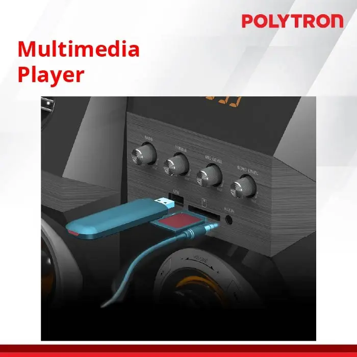 POLYTRON Multimedia Speaker PMA 9522 1