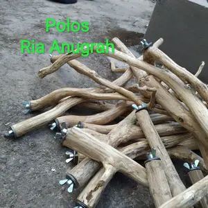 Tangkringan kayu kopi/ kayu kopi/burung