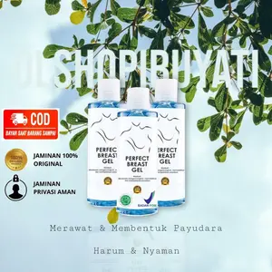 Paket 1 Perfect Breastmask Gel Original