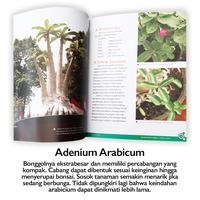 Gambar Buku Hobi Bertanam Adenium Arabicum Tanaman Hias mirip Bonsai dari Sahabat Buku Anak Kab. Tangerang 3 Tokopedia