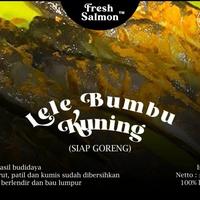 Gambar Lele Bumbu Kuning Siap Goreng Frozen dari R2 Kitchen Jakarta Timur 2 Tokopedia