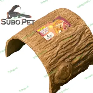 Subo hiding cave reptile - kura kadal