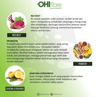 Gambar OHIfibre Suplemen Diet - Penurunan Berat Badan / Pelancar BAB / Bpom dari Asian - Culture Kota Administrasi Jakarta Utara 4 Tokopedia