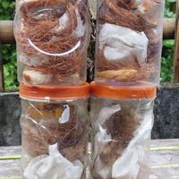 Gambar telur maggot bsf dari Sandal Hotel Malisha Kab. Lamongan 3 Tokopedia