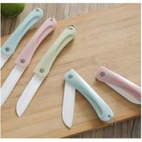 Gambar PISAU MINI LIPAT/ PISAU POTONG BUAH SAYUR, R20 dari MyLittle House Kota Administrasi Jakarta Utara 5 Tokopedia
