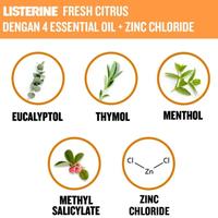 Gambar Listerine Fresh Citrus MouthWash/Obat Kumur Antiseptik 250ml -isi 3pcs dari Naka Lucky Kota Bandung 3 Tokopedia