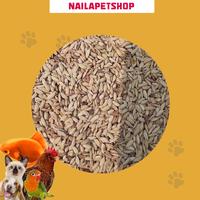 Gambar GABAH MERAH PAKAN AYAM JAGO KEMASAN 1KG dari Naila Petshop Jakarta Barat 1 Tokopedia
