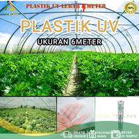 Gambar Plastik UV 6M Green House Lebar 6 Meter Yupi Plastic Ultraviolet 6 M dari PUROTANI.ID Kab. Purworejo 1 Tokopedia