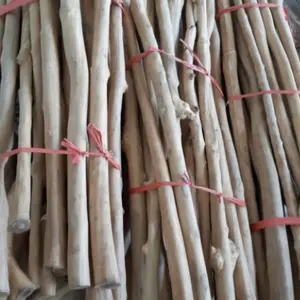 angkringan burung dari pohon kopi p 2 meter