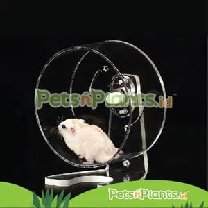 PnP - Roda Hamster Landak Akrilik Besar - Silent Running Wheel 22 cm