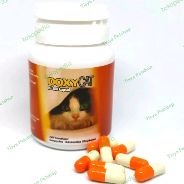 Doxy Cat Doxycat Im Organic - Obat Flu Kucing Ecer Per Kapsul 0