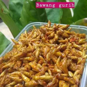 Entung Pohon Johar Kepompong Johar Goreng