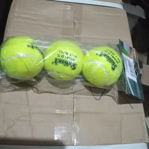 Bola kasti/bola tenis/tennis ball/bola