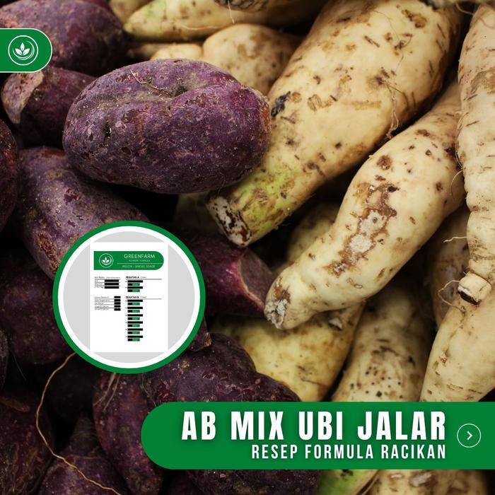 Jual Resep AB Mix Ubi Jalar Formula Racikan Nutrisi Pupuk Ubi Jalar ...