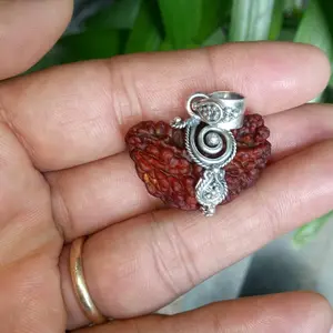 Genitri Mukhi 1 Jaipur