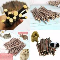 Gambar Natural Apple Chew Stick Kayu Apel Perawatan Gigi Sugar Glider hamster dari charlotte bowtique Kota Administrasi Jakarta Barat 4 Tokopedia