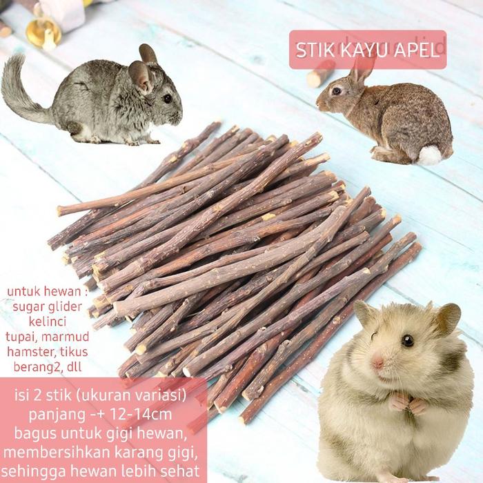 Gambar Natural Apple Chew Stick Kayu Apel Perawatan Gigi Sugar Glider hamster dari charlotte bowtique Kota Administrasi Jakarta Barat Tokopedia