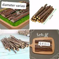 Gambar Natural Apple Chew Stick Kayu Apel Perawatan Gigi Sugar Glider hamster dari charlotte bowtique Kota Administrasi Jakarta Barat 2 Tokopedia