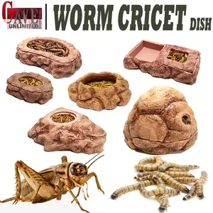 tempat ulat hongkong jerman jangkrik wrom criket dish reptile insect