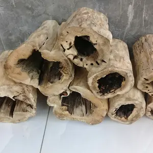 hiding cave bulat reptil,kura2, geckho, tarantula dll