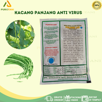 Gambar Benih Unggul Kacang Panjang POLONG IJO Tahan Virus 100 gr Benih Inti dari PUROTANI.ID Kab. Purworejo 2 Tokopedia